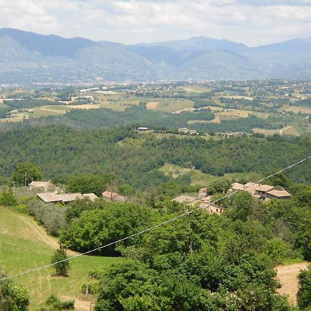 Montanari Agrivillage Νάρνη Εξωτερικό φωτογραφία