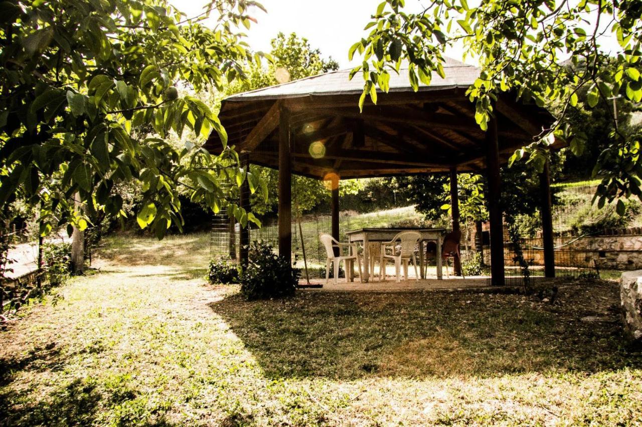 Montanari Agrivillage Νάρνη Εξωτερικό φωτογραφία