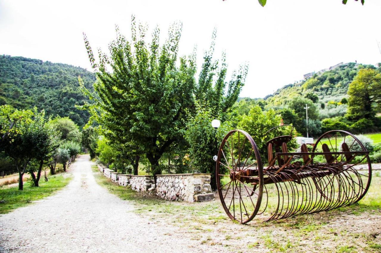 Montanari Agrivillage Νάρνη Εξωτερικό φωτογραφία