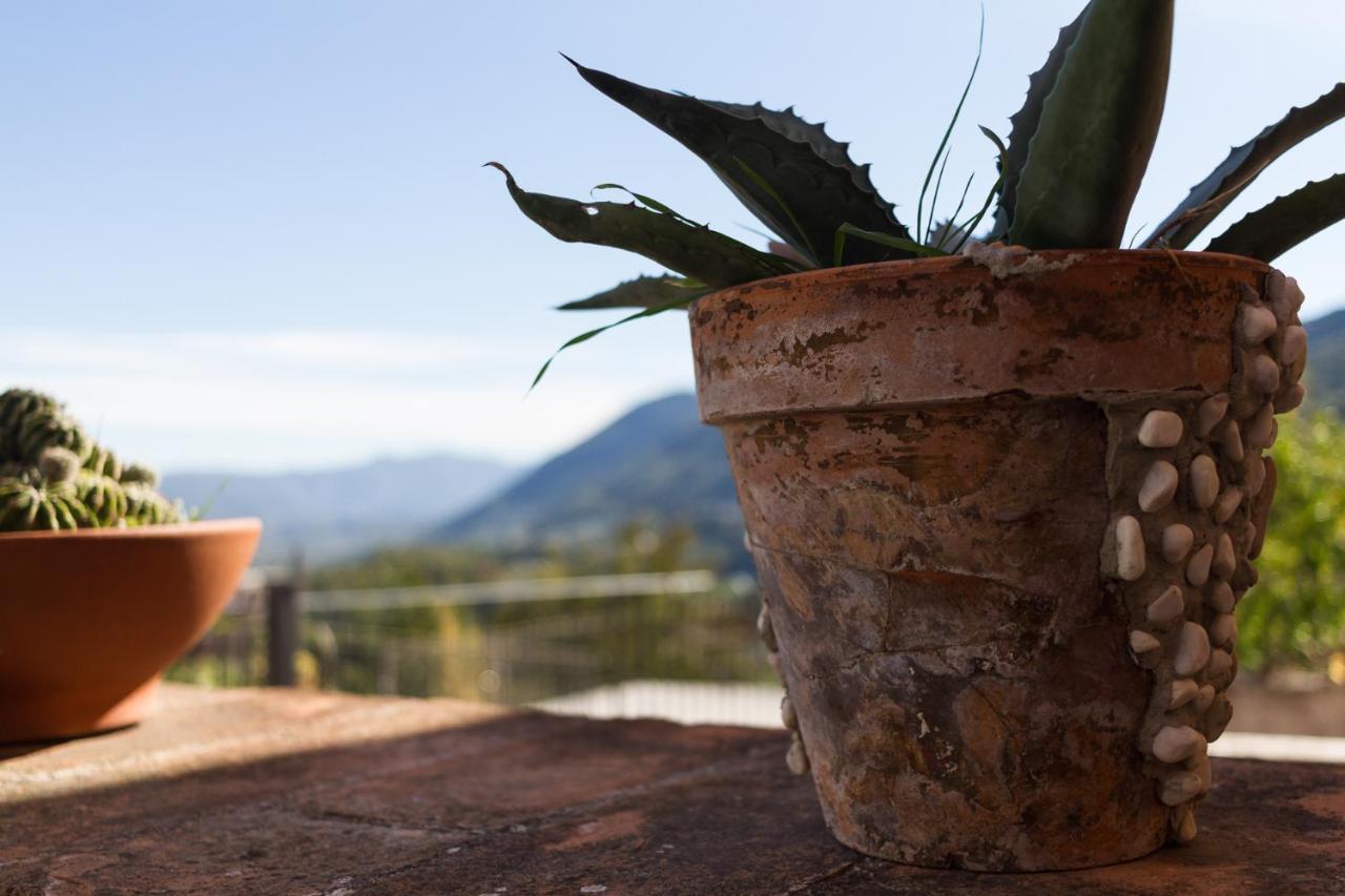 Montanari Agrivillage Νάρνη Εξωτερικό φωτογραφία